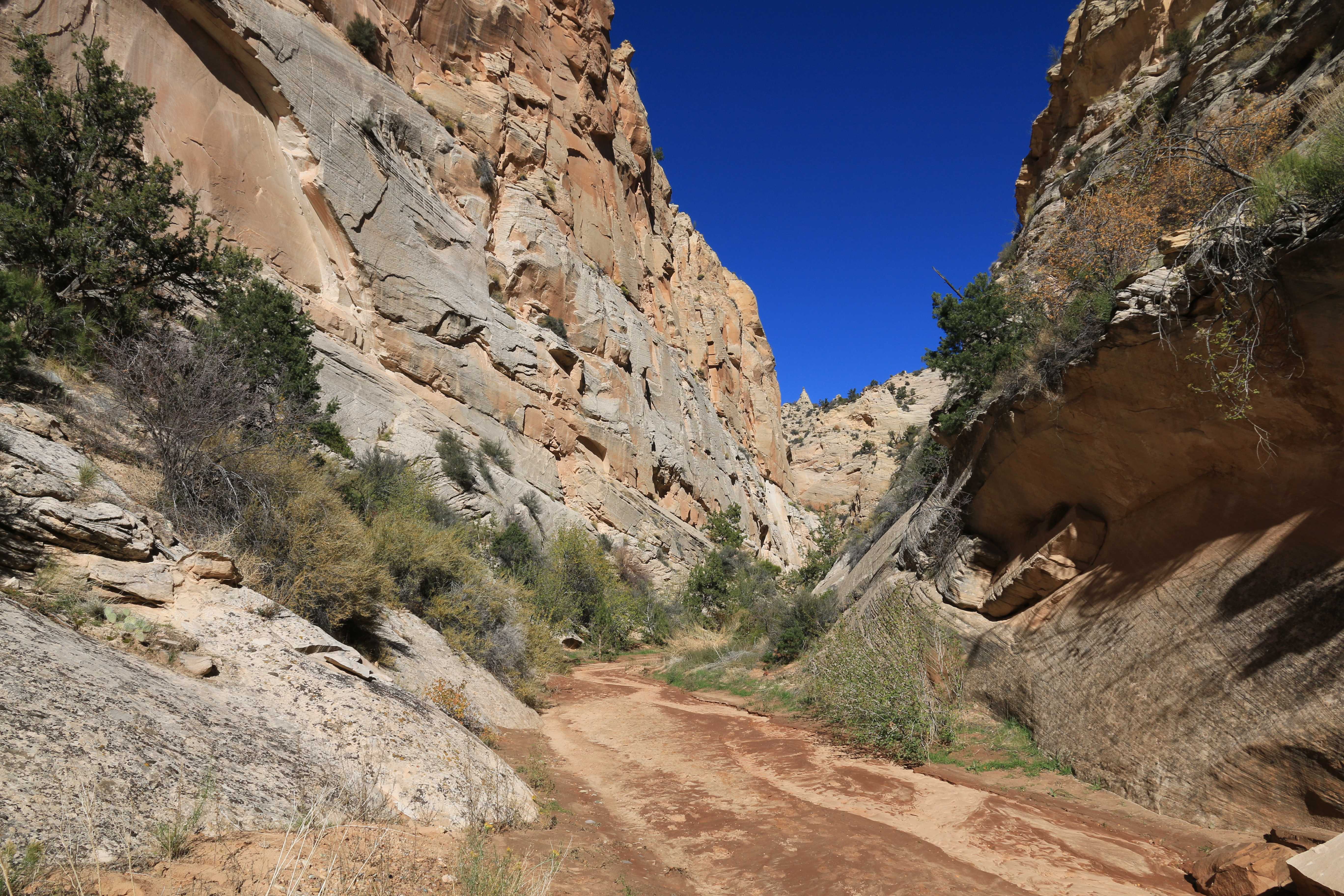 Escalante